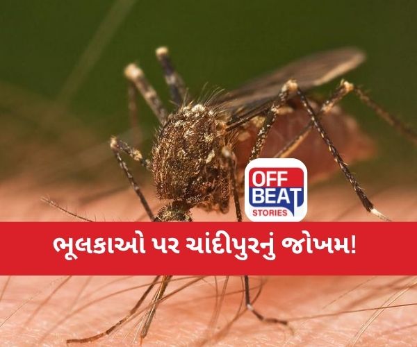 ગુજરાતના આ જિલ્લામાં ચાંદીપુરાનો કહેર!